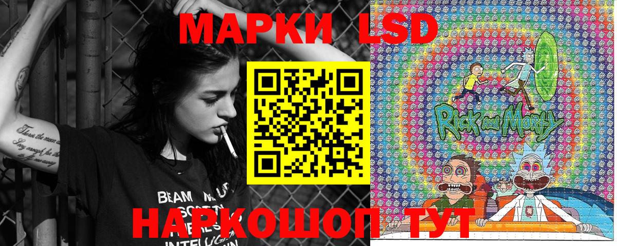 Бийск  Наркотические марки 1500мкг  Вход с VPN  Наркотические марки 1500мкг 