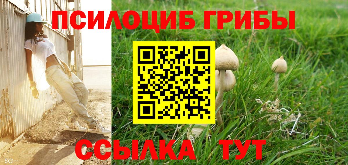 Галлюциногенные грибы Magic Shrooms  Галлюциногенные грибы Magic Shrooms  Вход с VPN  Бийск 